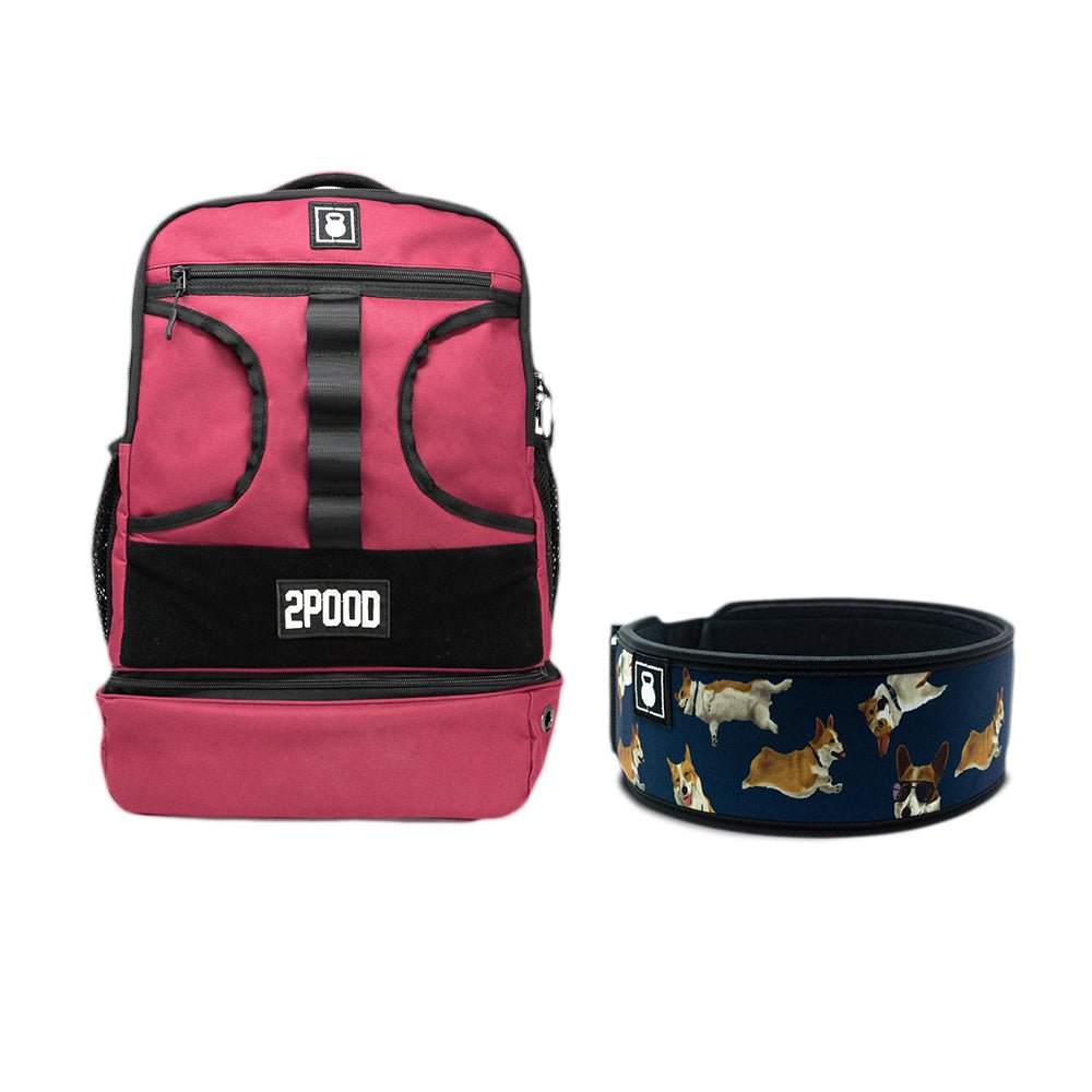 4" Winston the Corgi 2.0 Belt & Backpack 3.0 Bundle