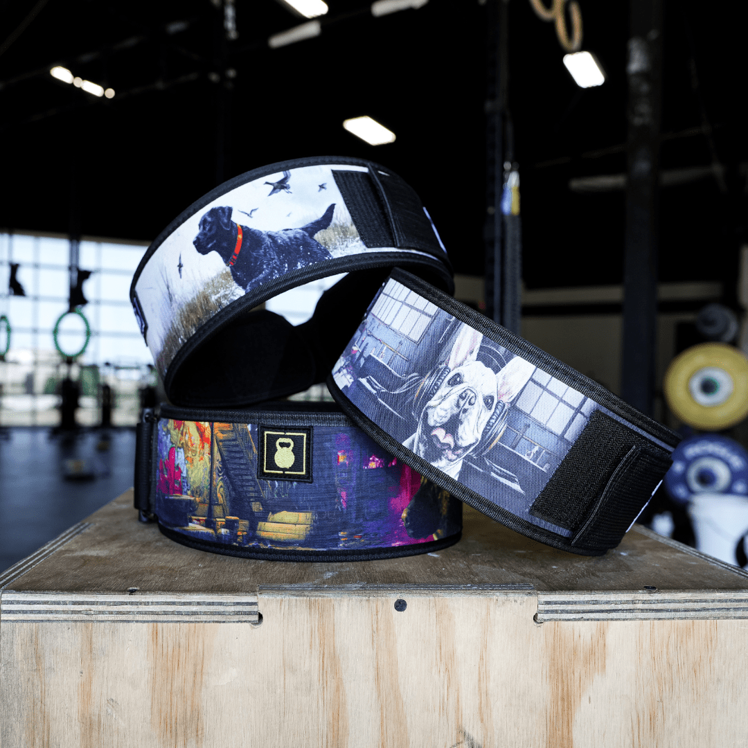 French Bulldog 4" Weightlifting Belt