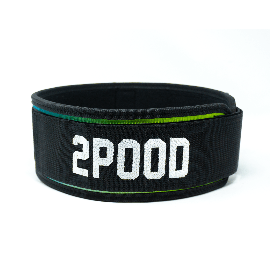 Golden Retriever 4" Weightlifting Belt