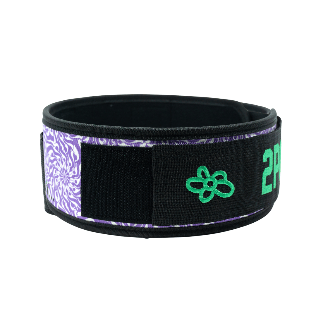 When Pigs Fly by Danielle Brandon 4" Weightlifting Belt - 2POOD