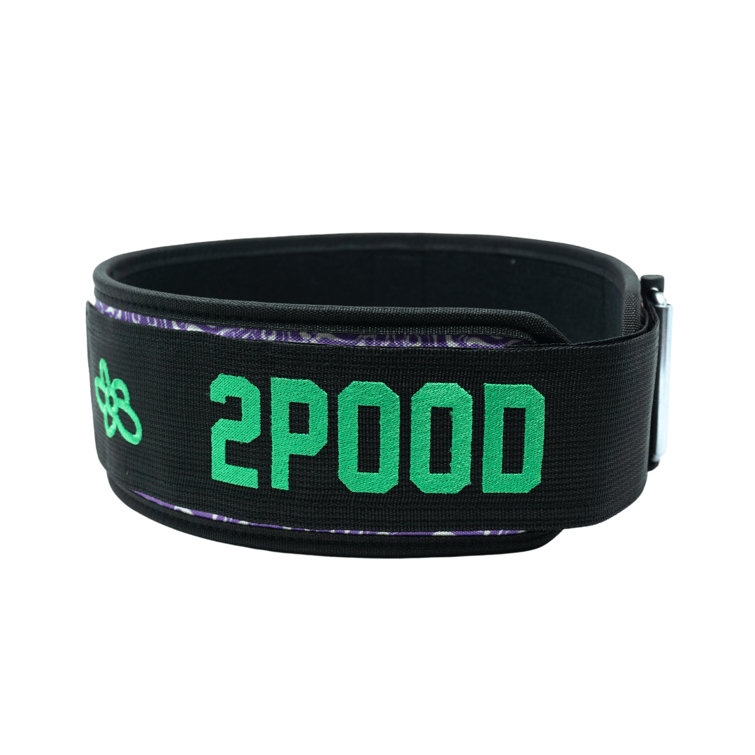 When Pigs Fly by Danielle Brandon 4" Weightlifting Belt - 2POOD