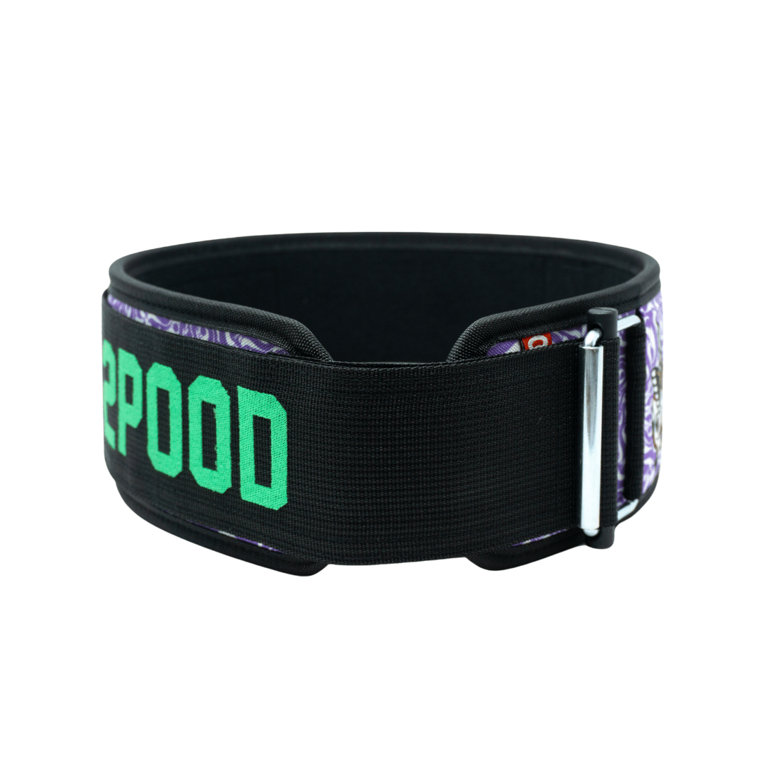 When Pigs Fly by Danielle Brandon 4" Weightlifting Belt - 2POOD