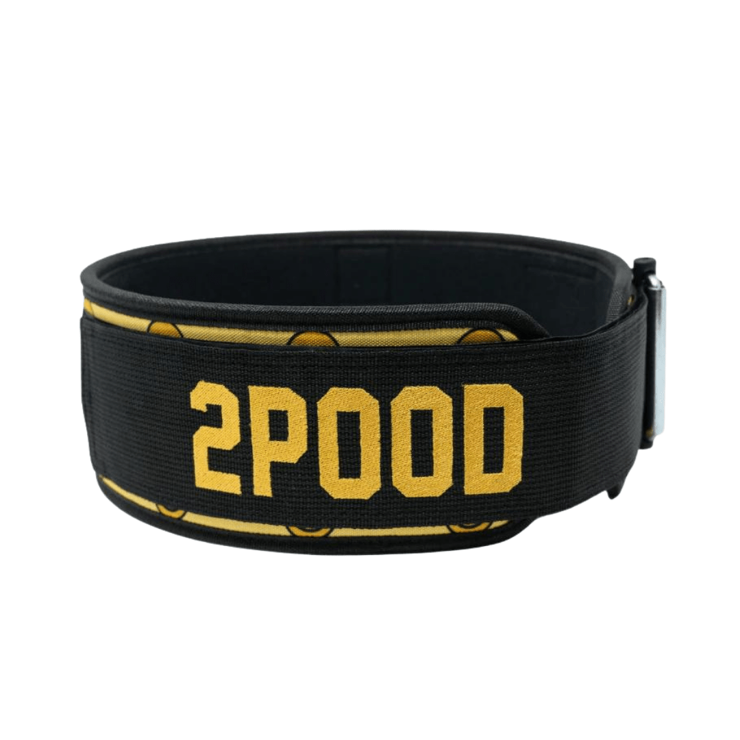 All Smiles by Christine Kolenbrander 4" Weightlifting Belt - 2POOD