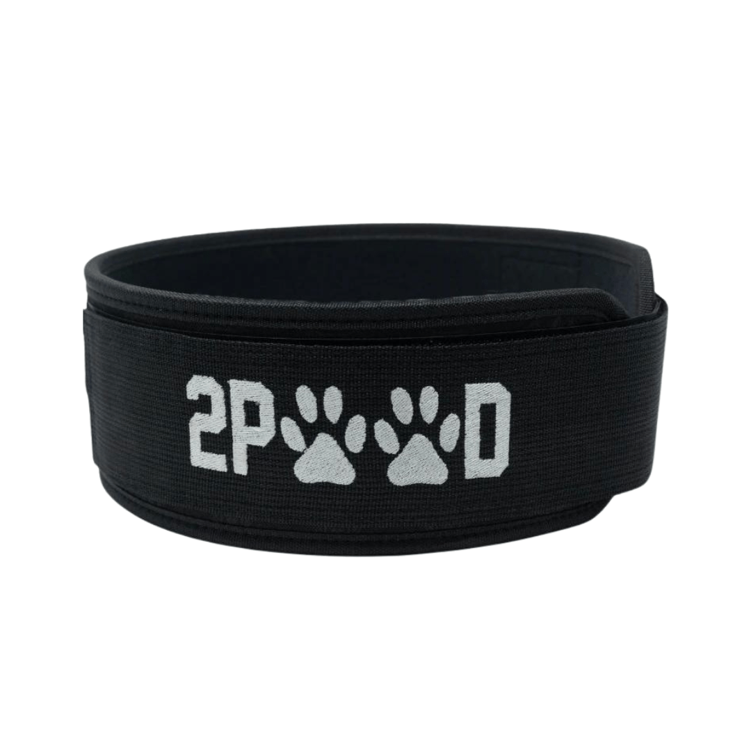 Barbells for Bullies 2.0 4" Straight Weightlifting Belt - 2POOD