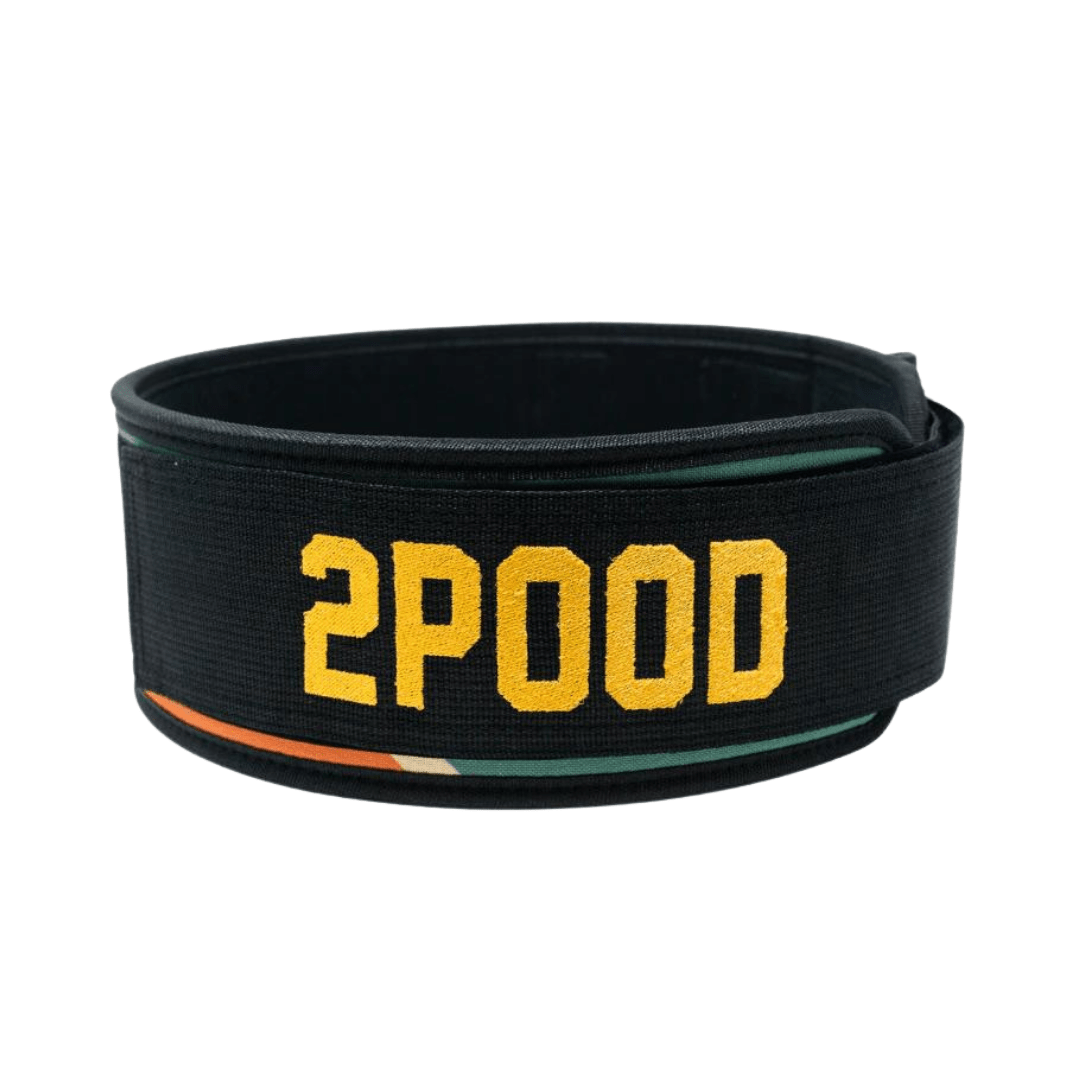 Sunshine by Fee Saghafi 4" Weightlifting Belt - 2POOD