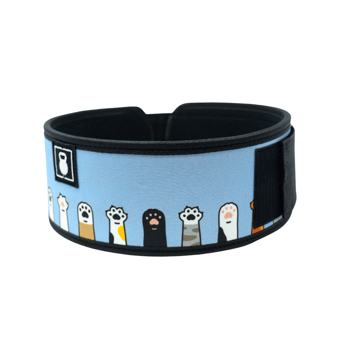 I'm Feline Good 4" Weightlifting Belt - 2POOD