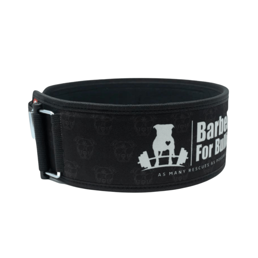 Barbells for Bullies 2.0 4" Straight Weightlifting Belt - 2POOD