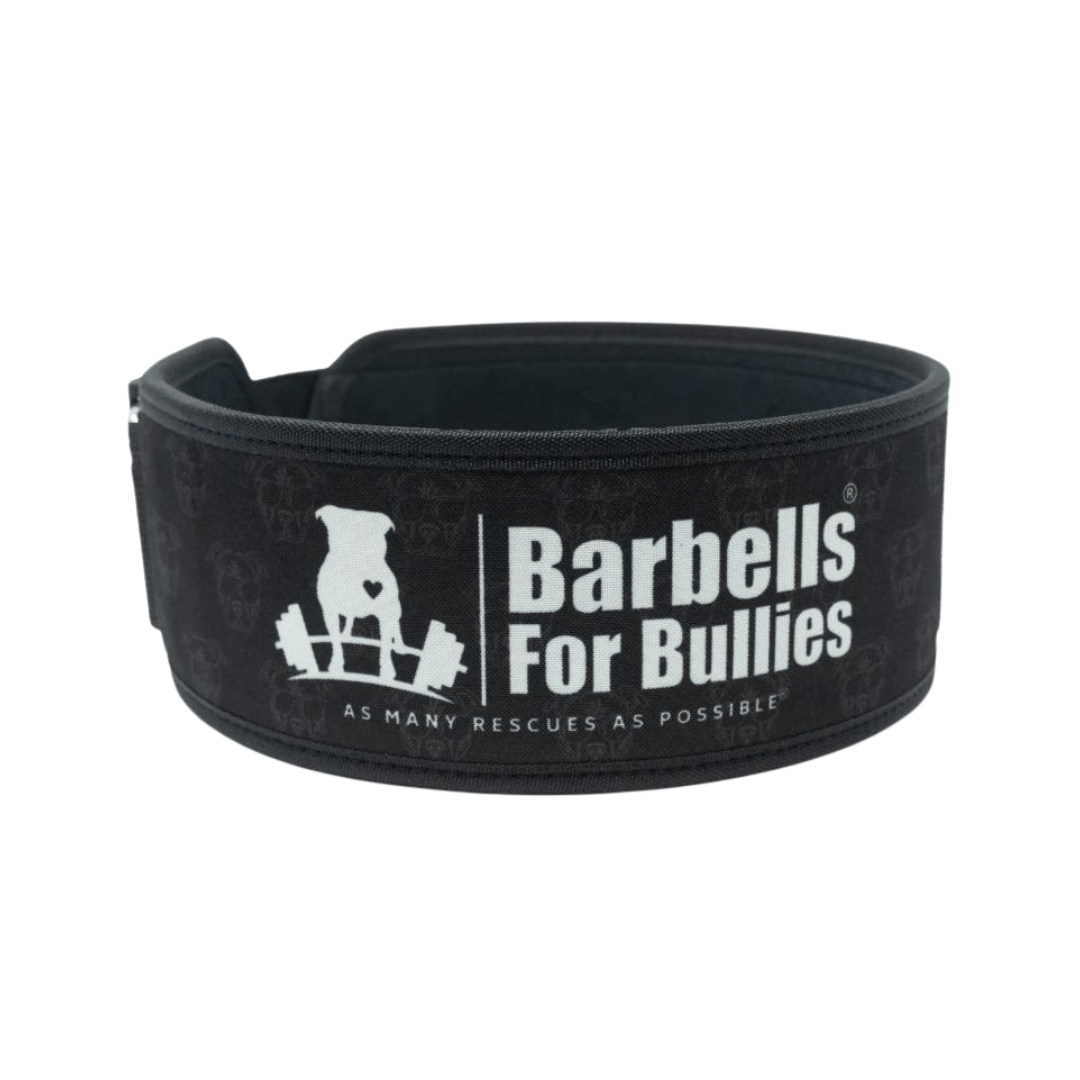 Barbells for Bullies 2.0 4" Straight Weightlifting Belt - 2POOD